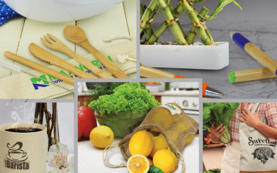 Managing Environmental Concerns