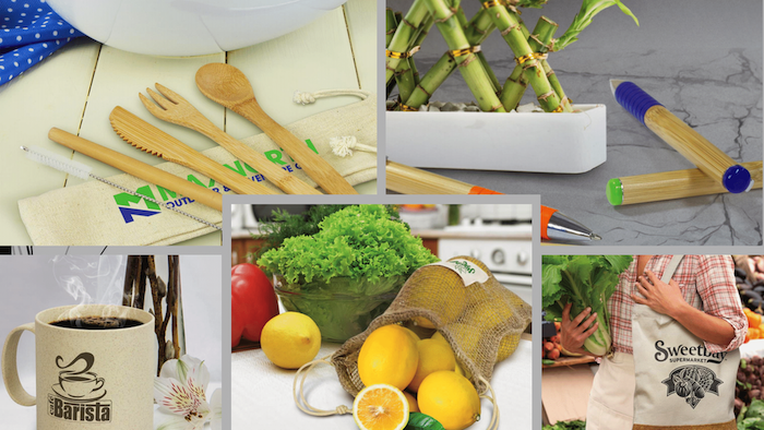 Managing Environmental Concerns