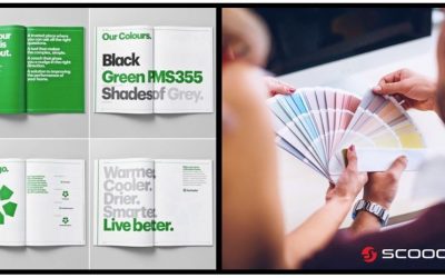 The Importance of Brand Guidelines